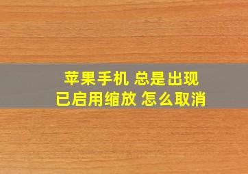 苹果手机 总是出现已启用缩放 怎么取消